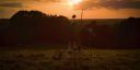 000_001_2490.jpeg