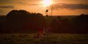 000_001_2494.jpeg