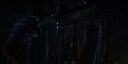 000_001_2657.jpeg