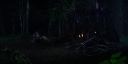 000_001_3239.jpeg
