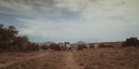 000_001_3904.jpeg