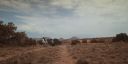 000_001_3905.jpeg