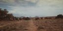 000_001_3906.jpeg