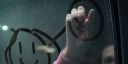 000_001_0858.jpeg