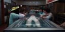 000_001_3373.jpeg