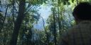 000_001_9666.jpeg
