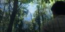 000_001_9667.jpeg