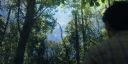 000_001_9668.jpeg