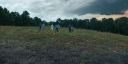 000_001_9769.jpeg
