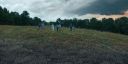 000_001_9770.jpeg