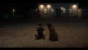 000_001_3734.jpeg