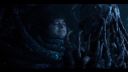 000_001_0962.jpeg
