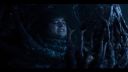 000_001_0964.jpeg