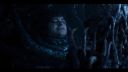 000_001_0966.jpeg