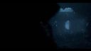 000_001_2624.jpeg