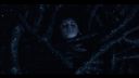 000_001_3672.jpeg