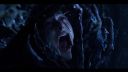000_001_3973.jpeg