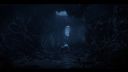 000_001_3985.jpeg