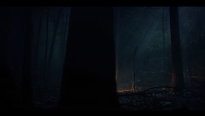 Click to view full size image
==============
000_001_3073.jpeg 000_001_3073.jpeg