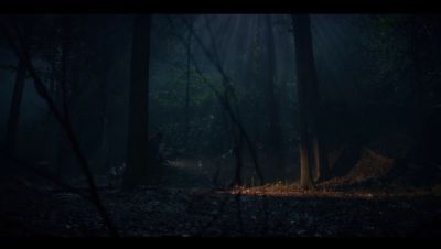 Click to view full size image
==============
000_001_3081.jpeg 000_001_3081.jpeg