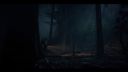 000_001_3074.jpeg