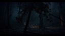 000_001_3076.jpeg
