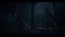 000_001_3078.jpeg