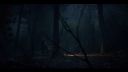 000_001_3079.jpeg