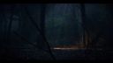000_001_3080.jpeg
