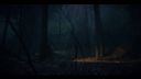 000_001_3081.jpeg