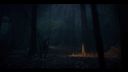 000_001_3082.jpeg