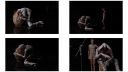 000_001_0085.jpeg