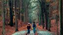 000_001_0162.jpeg
