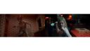 000_001_0517.jpeg