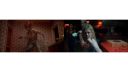 000_001_0518.jpeg