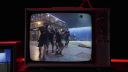 000_001_0277.jpeg