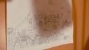 000_001_0293.jpeg