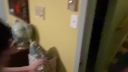 000_001_0619.jpeg