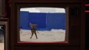 000_001_0239.jpeg
