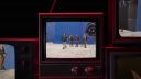 000_001_0312.jpeg
