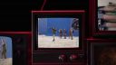 000_001_0313.jpeg