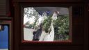 000_001_0434.jpeg
