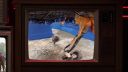 000_001_0458.jpeg