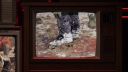 000_001_0483.jpeg