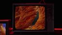 000_001_0524.jpeg