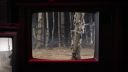 000_001_0246.jpeg