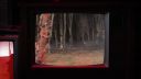 000_001_0247.jpeg