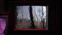 000_001_0250.jpeg