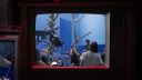 000_001_0284.jpeg