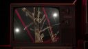 000_001_0307.jpeg